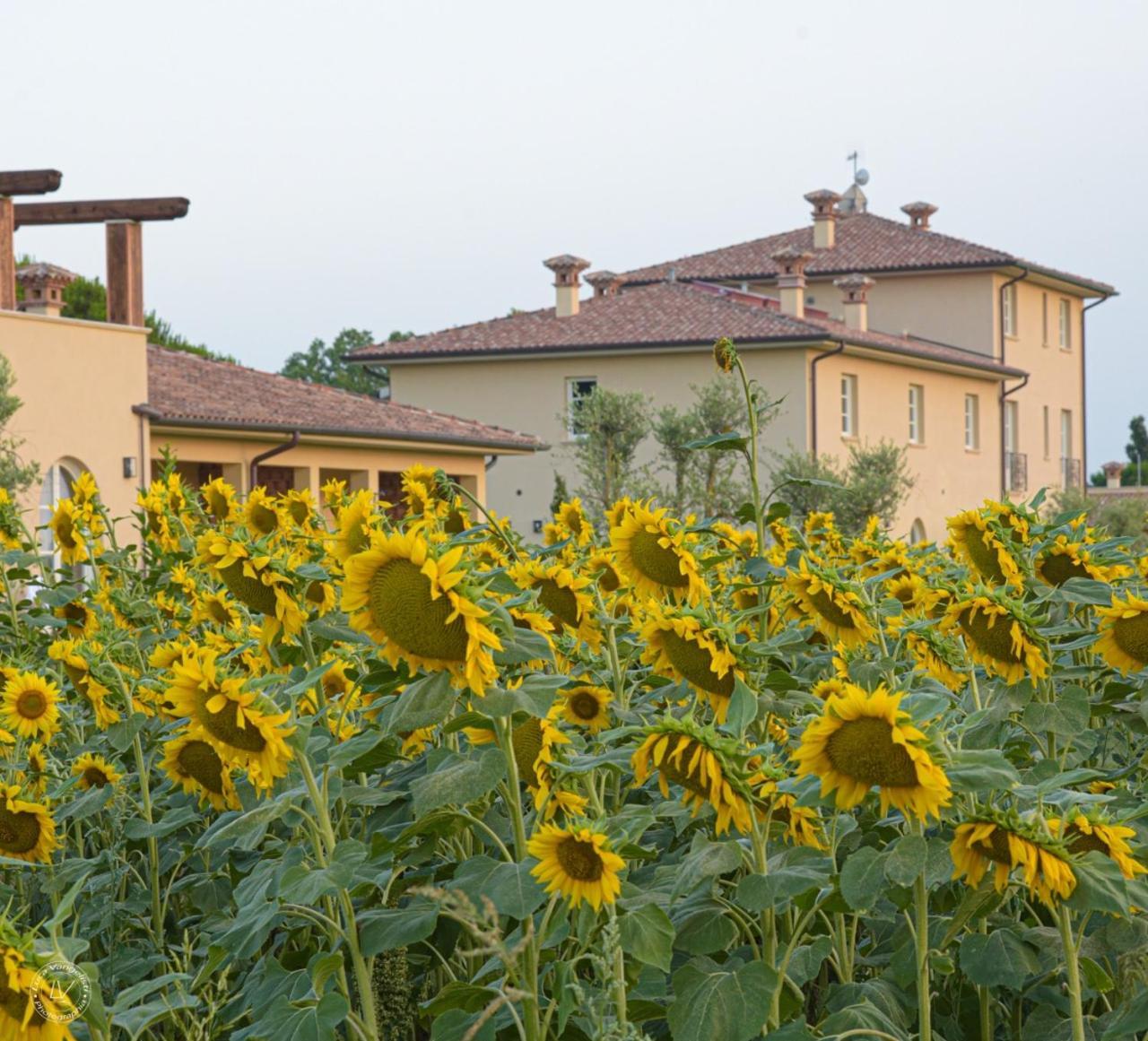 Agriturismo Villa Toscana Campiglia Marittima Exterior photo