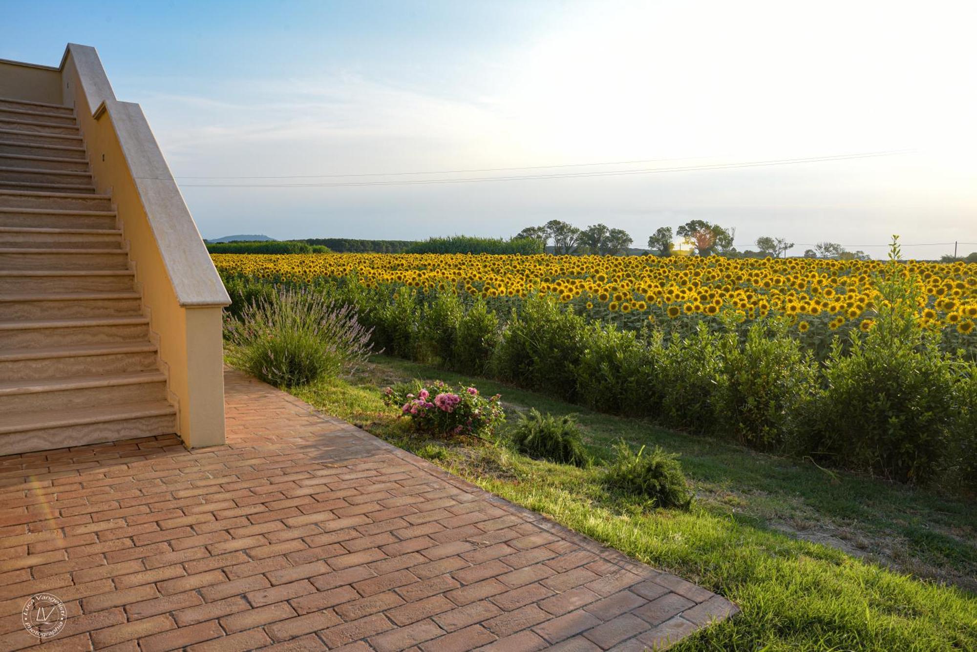 Agriturismo Villa Toscana Campiglia Marittima Exterior photo