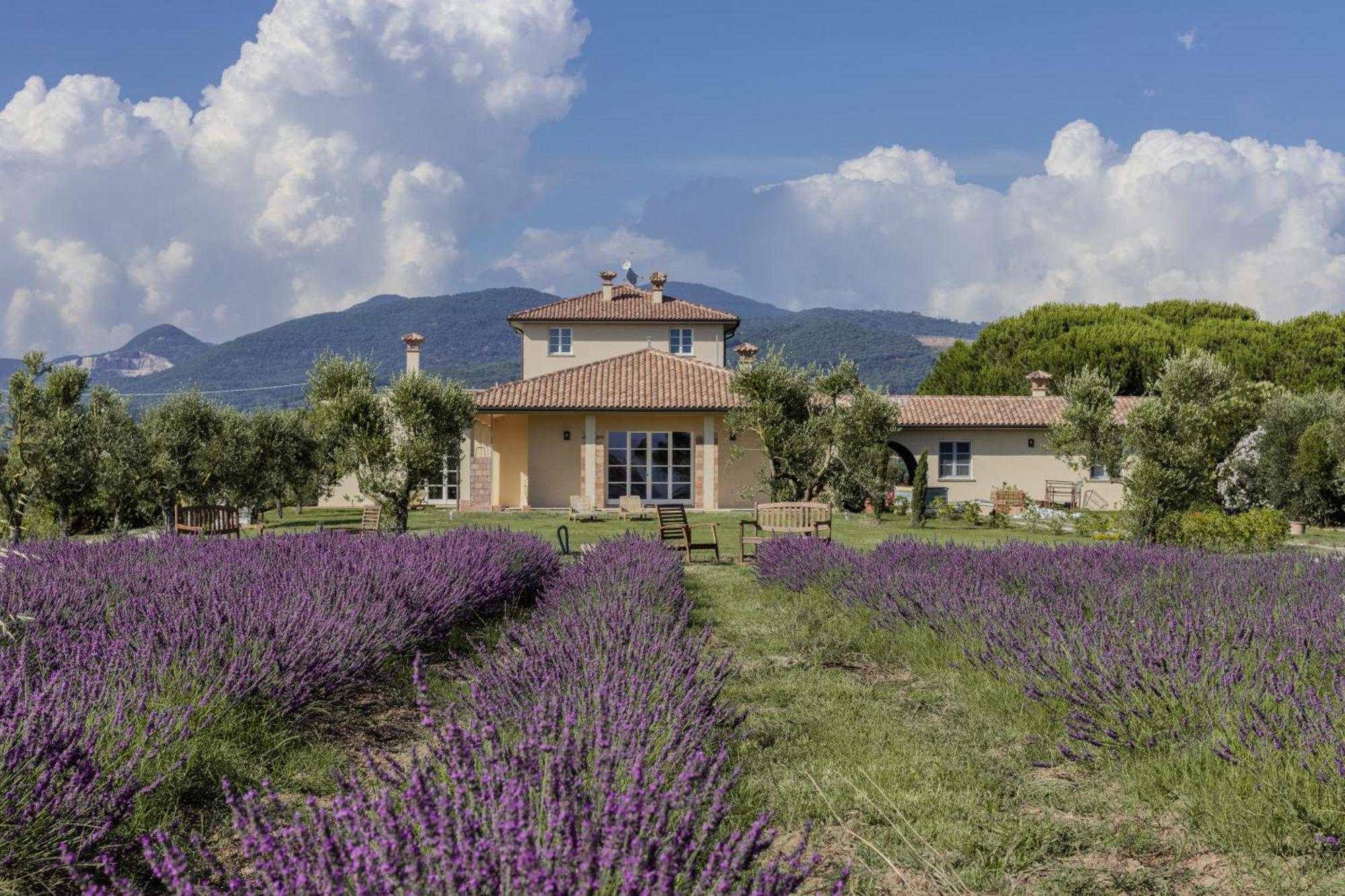 Agriturismo Villa Toscana Campiglia Marittima Exterior photo